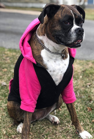 Varsity Pink